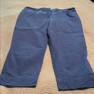 LOFT Vibrant Blue Trousers